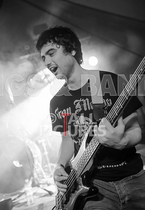 Stone Em All-81 - STONE EM ALL