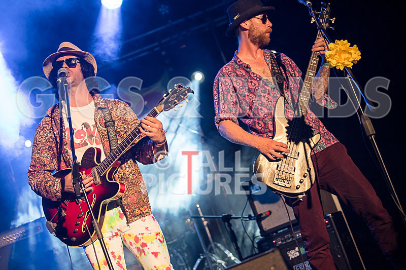 Surfin Birds-1 - SURFIN' BIRDS