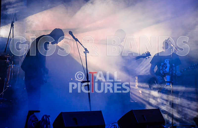 Subversion-37 - SUBVERSION