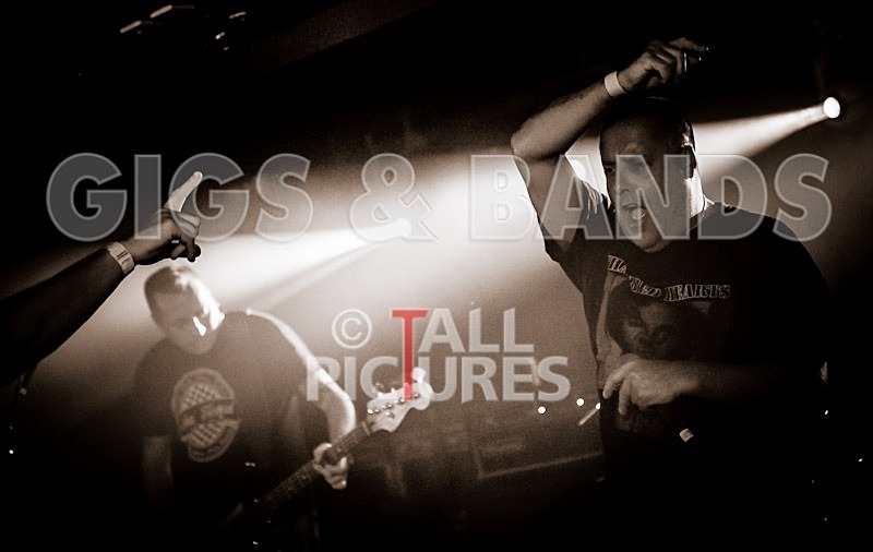 Peter and the Test Tube Babies-45 - PETER AND THE TEST TUBE BABIES