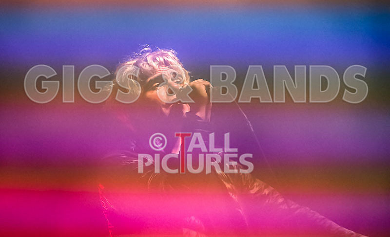 The Charlatans-88 - THE CHARLATANS