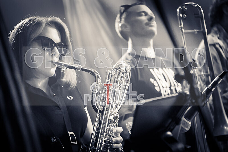 Sons of the Desert-392 - SONS OF THE DESERT