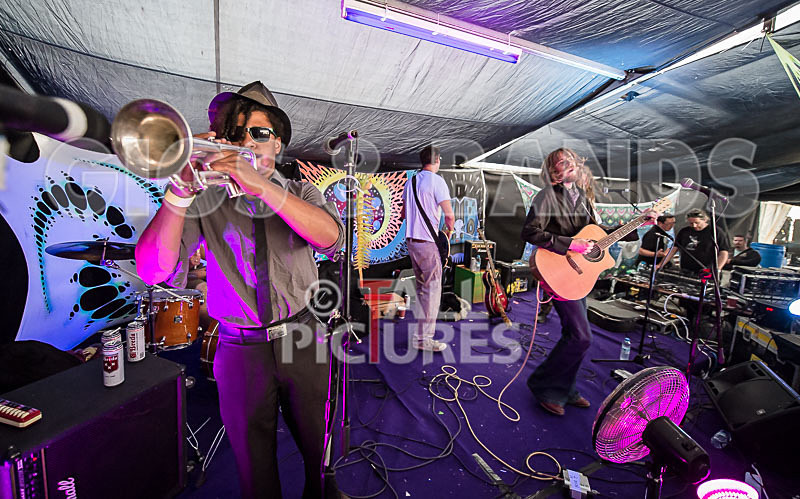 The Recks-295 - THE RECKS