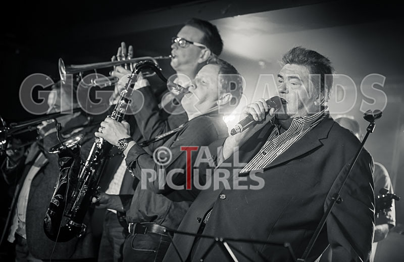 Alfie Bartons 25th Anniversary Gig-127 - ALFIE BARTON'S 25th ANNIVERSARY SPECIAL