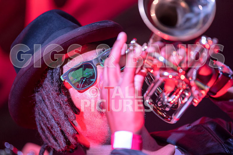 The Recks-674 - THE RECKS