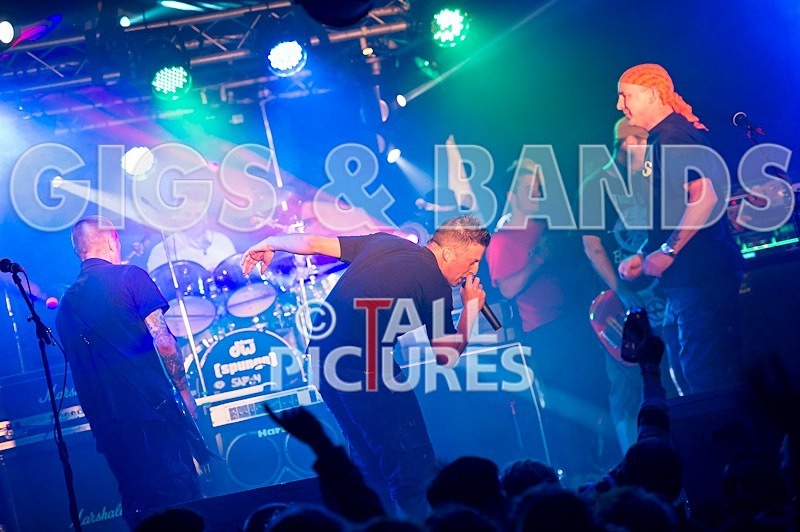 Spunge-46 - [spunge]