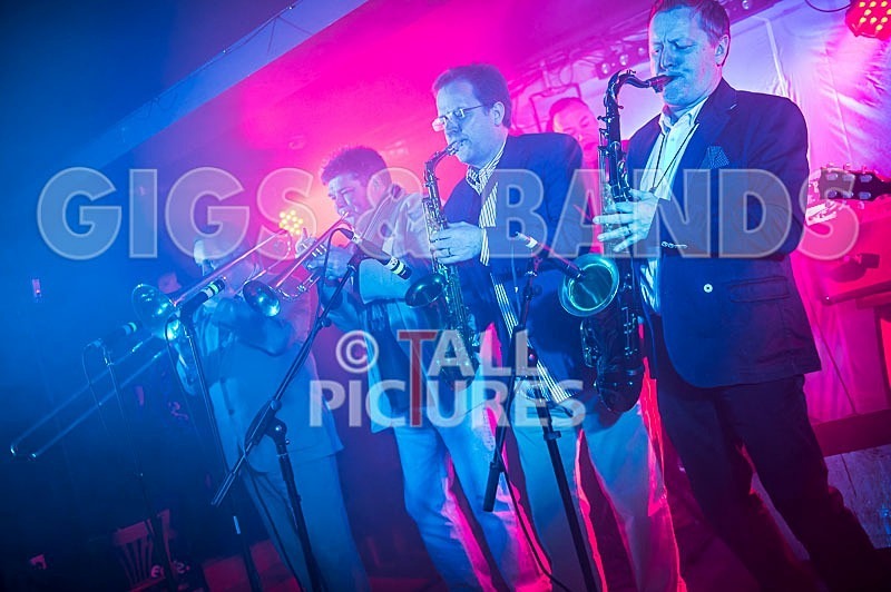 The Pulse-63 - THE PULSE