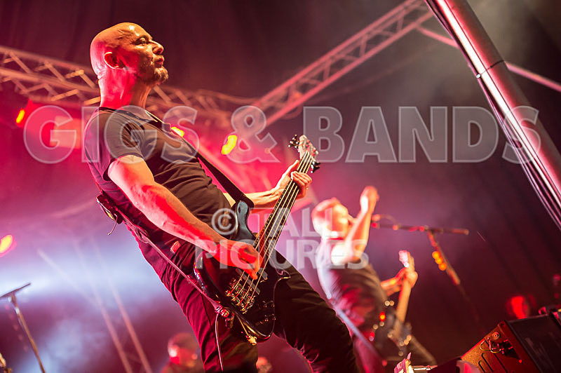 Therapy--29 - THERAPY?