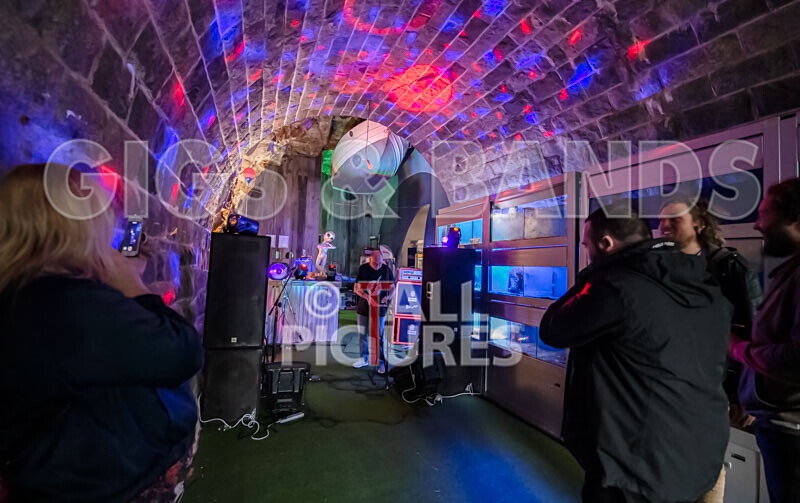 Aquarium Pop-up Gig 2019-11 - AQUARIUM POP-UP GIG 2019