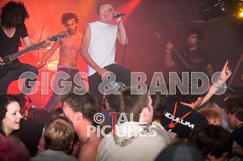 Elmer Henley-108 - VALE EARTH FAIR 2009