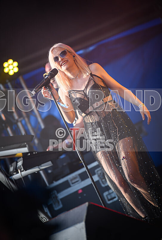 Element 6-82 - ELEMENT 6