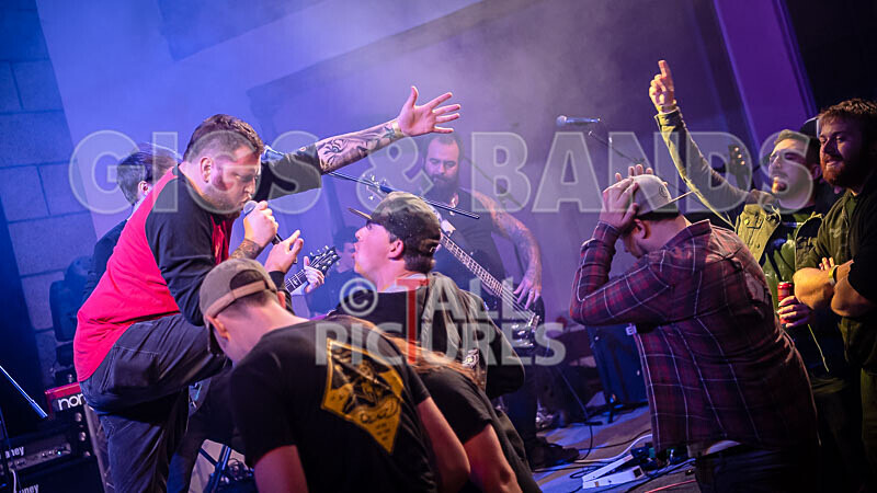 Tom Domaille-1 - THE GUESTS