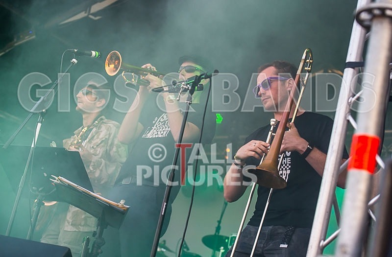 Sons of the Desert-197 - SONS OF THE DESERT