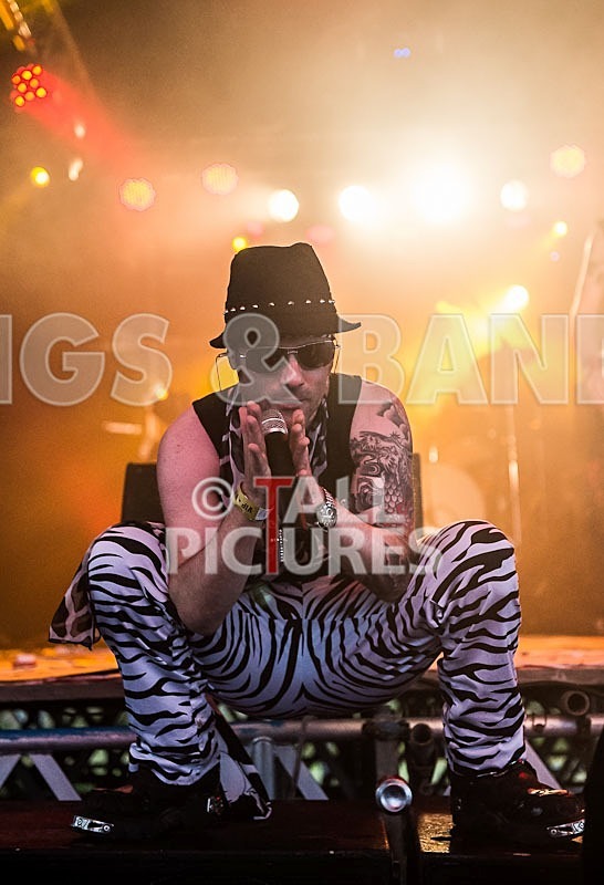 Big Machine_Chaos8-53 - BIG MACHINE