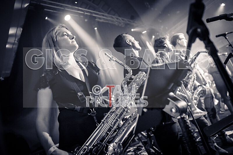 King Rat the Soul Cats-503 - KING RAT & THE SOUL CATS