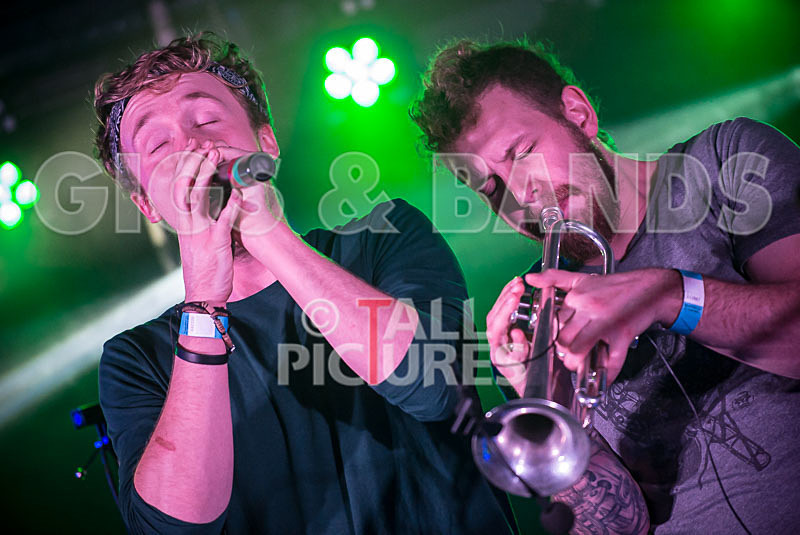 Killamonjambo-1 - KILLAMONJAMBO