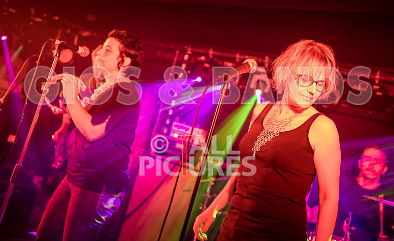 Ray and the Guns-70 - RAY AND THE GUNS