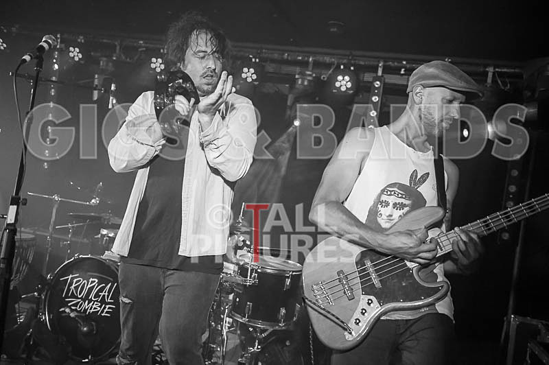 Tropical Zombie-13 - TROPICAL ZOMBIE