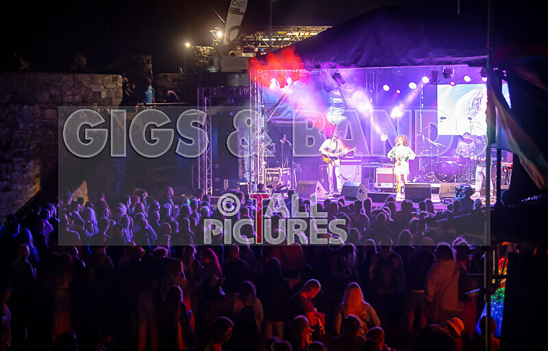 Vale Earth Fair 2022_The Scene-9 - VALE EARTH FAIR 2022_THE SCENE