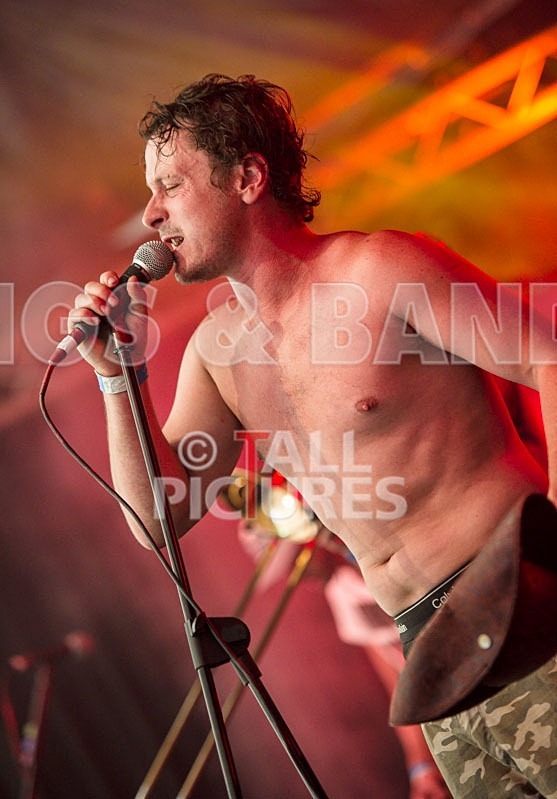 Chaos 2013_Pirate Party Brigade-21 - PIRATE PARTY BRIGADE