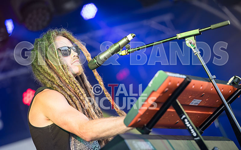 Tree House Fire-10 - TREE HOUSE FIRE