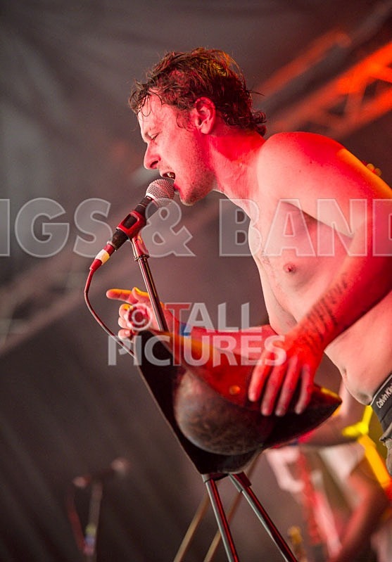 Chaos 2013_Pirate Party Brigade-25 - PIRATE PARTY BRIGADE