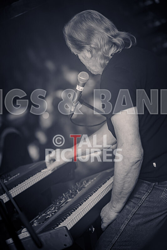 Elysium as Pink Floyd-191 - ELYSIUM as PINK FLOYD