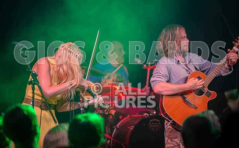 Buffalo Huddleston-529 - BUFFALO HUDDLESTON