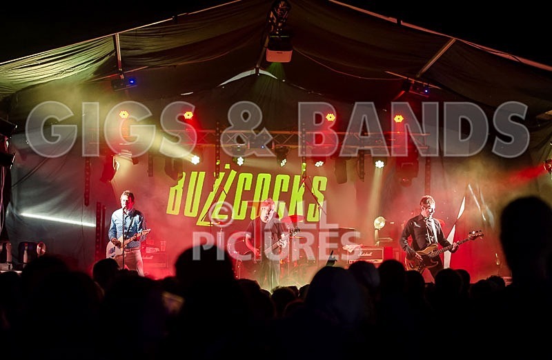 The Buzzcocks-53 - BUZZCOCKS