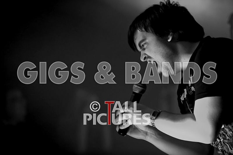 Maiden Guernsey-50 - MAIDEN GUERNSEY at RoA-2