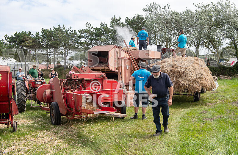 Guernsey Agricultural Show 2021-47 - GUERNSEY AGRICULTURAL SHOW 2021