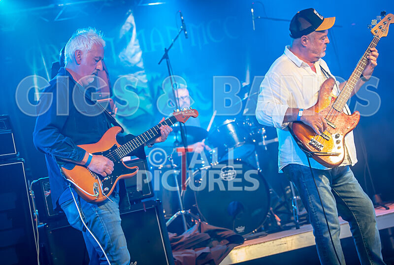 The Vinyls-16 - THE VINYLS