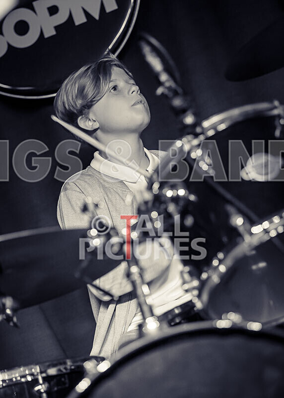 Pigeon Bomb-22 - PIGEON BOMB