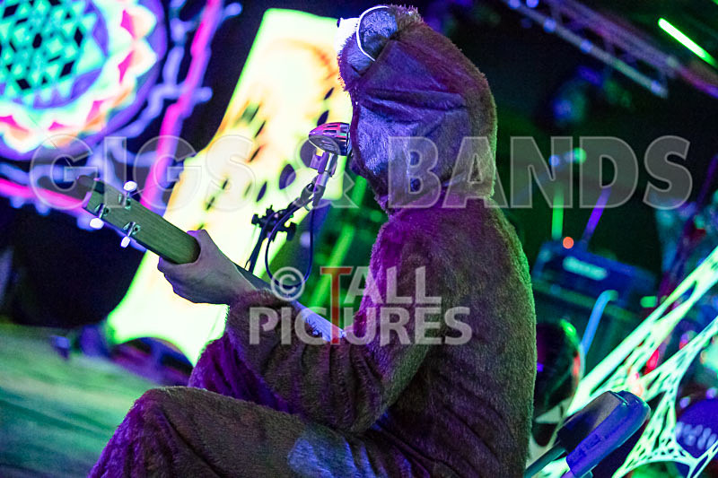 Greenman Chaos Festival 2018_The Scene-36 - GREENMAN CHAOS FESTIVAL 2018_THE SCENE