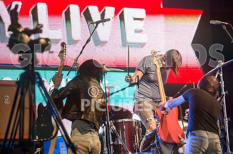 The Cribs-21 - THE CRIBS