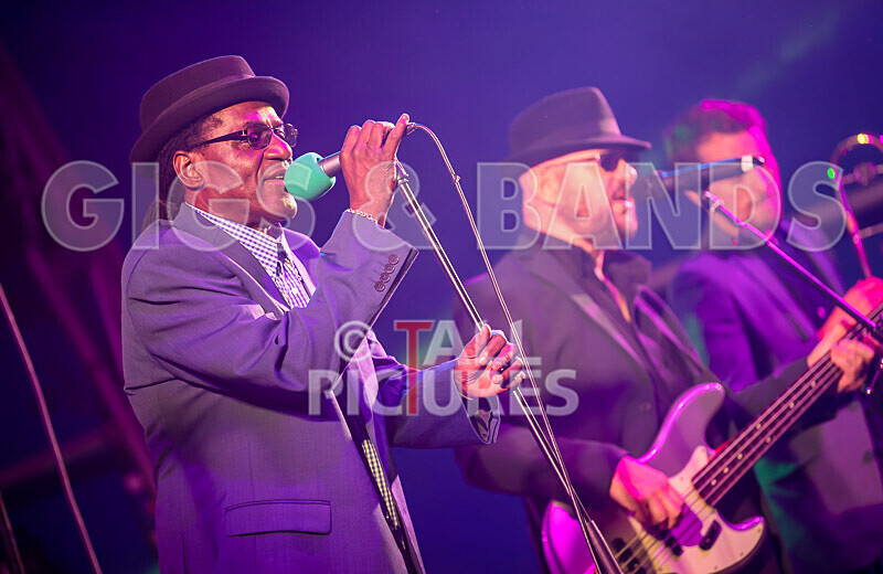 Neville Staples Band-12 - NEVILLE STAPLE BAND