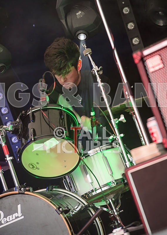 Surfin Birds-10 - THE SURFIN' BIRDS