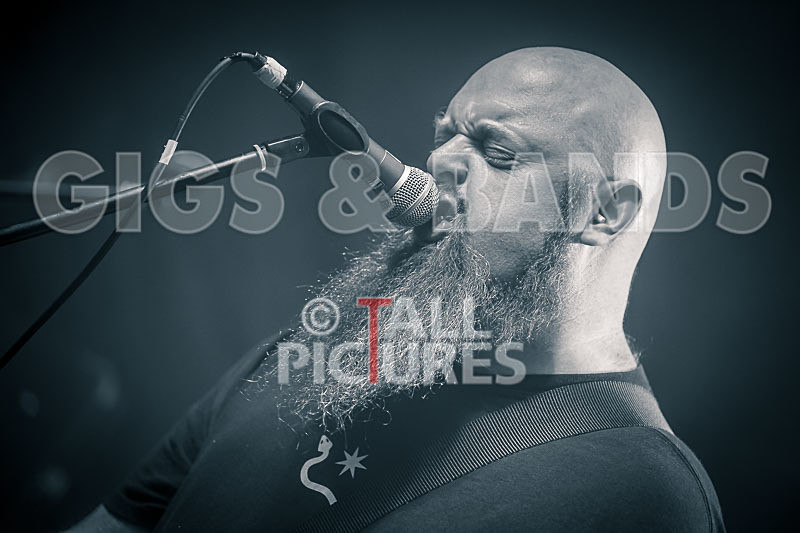 Byzanthian Neckbeard-186 - BYZANTHIAN NECKBEARD