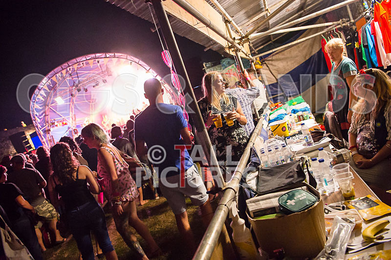 Vale Earth Fair 2017_SCENE-83 - VALE EARTH FAIR 2017_THE SCENE