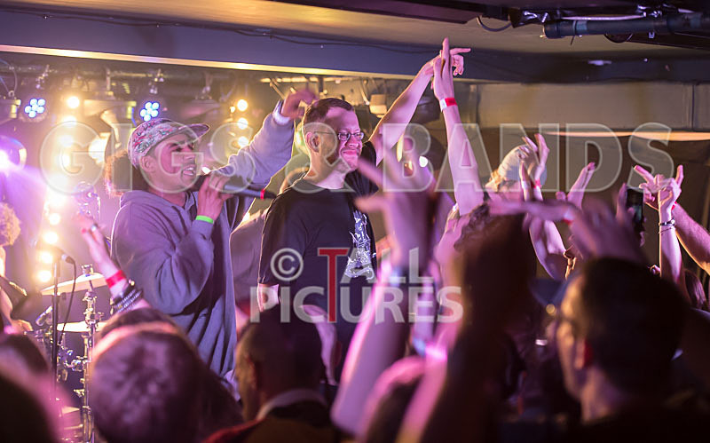 The Mouse Outfit-115 - THE MOUSE OUTFIT