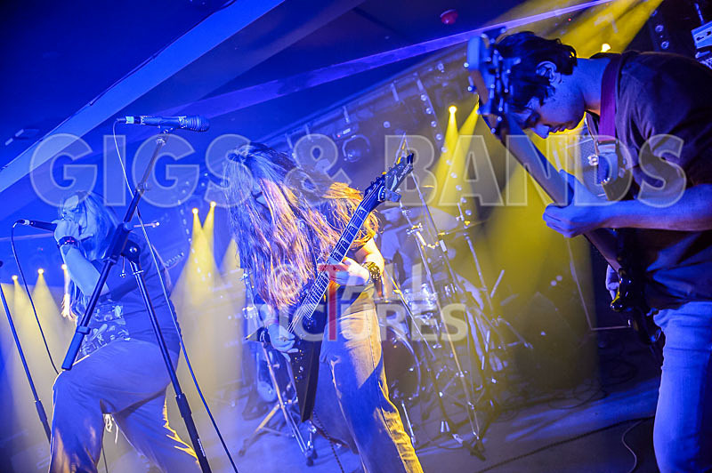 Stone Em All-224 - STONE EM ALL