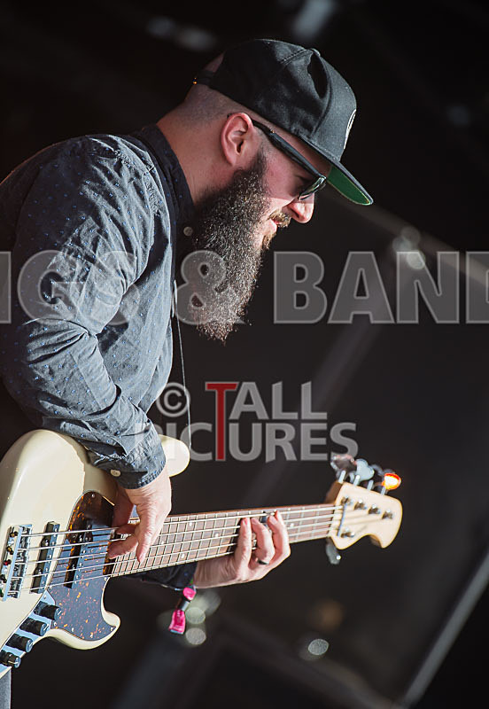 The Skints-4 - THE SKINTS