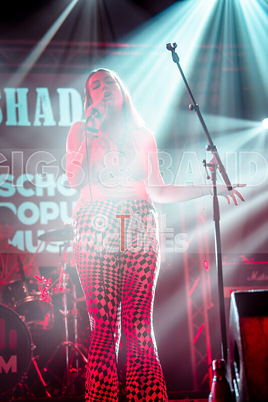 Darker Shade-27 - DARKER SHADE