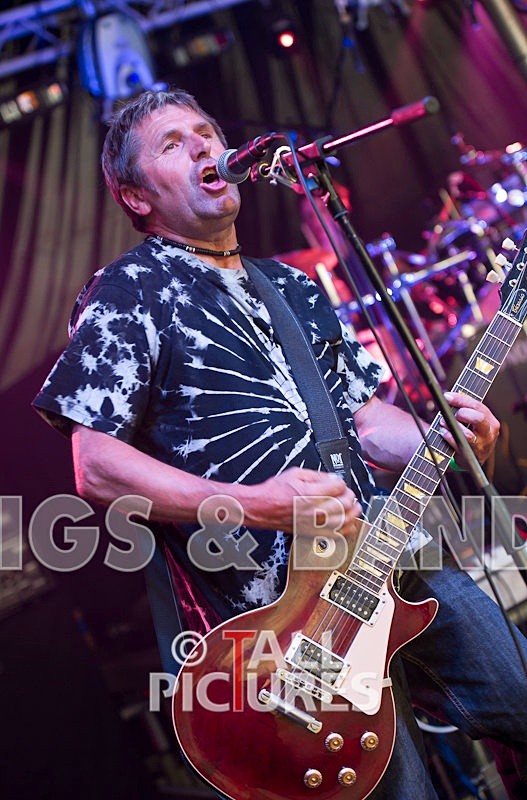 The Nelkons-45 - THE NELKONS at GREENMAN CHAOS 2010