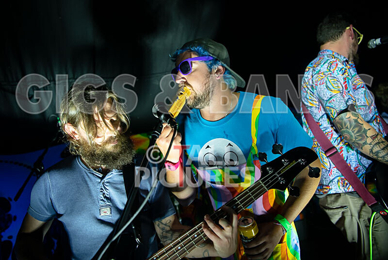 Honest Crooks-252 - HONEST CROOKS