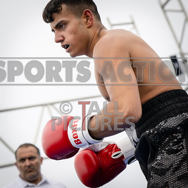 BOUT 12- Tyler the Lion Quintels v Phil Knock Knock Kiddy-12 - BOUT 12- Tyler 'the Lion' Quintels v Phil 'Knock Knock' Kiddy