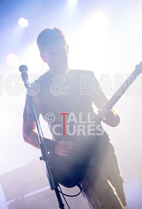 Demise of Sanity-150 - DEMISE OF SANITY