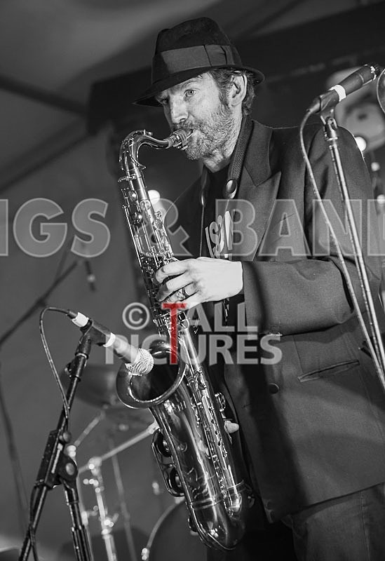 Sons of the Desert_Lib Day_2012-15 - SONS OF THE DESERT