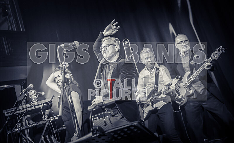 King Rat the Soul Cats-425 - KING RAT & THE SOUL CATS