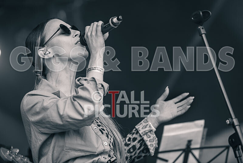 Element 6-37 - ELEMENT 6